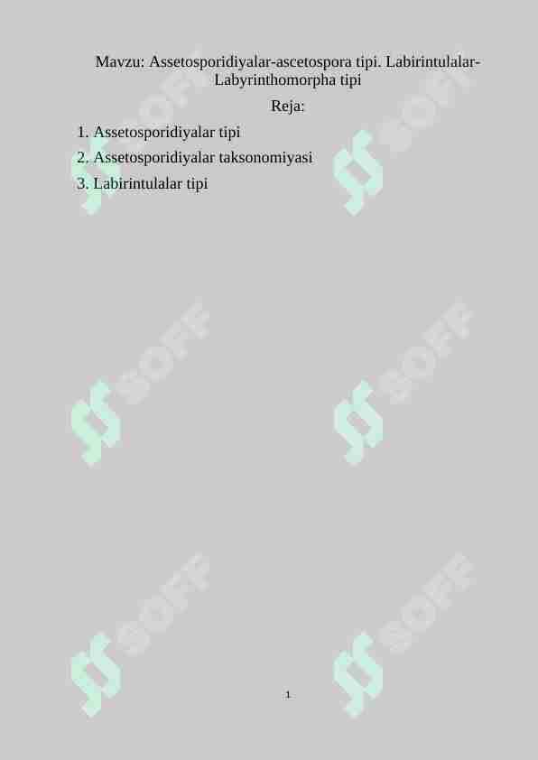 Preview 1