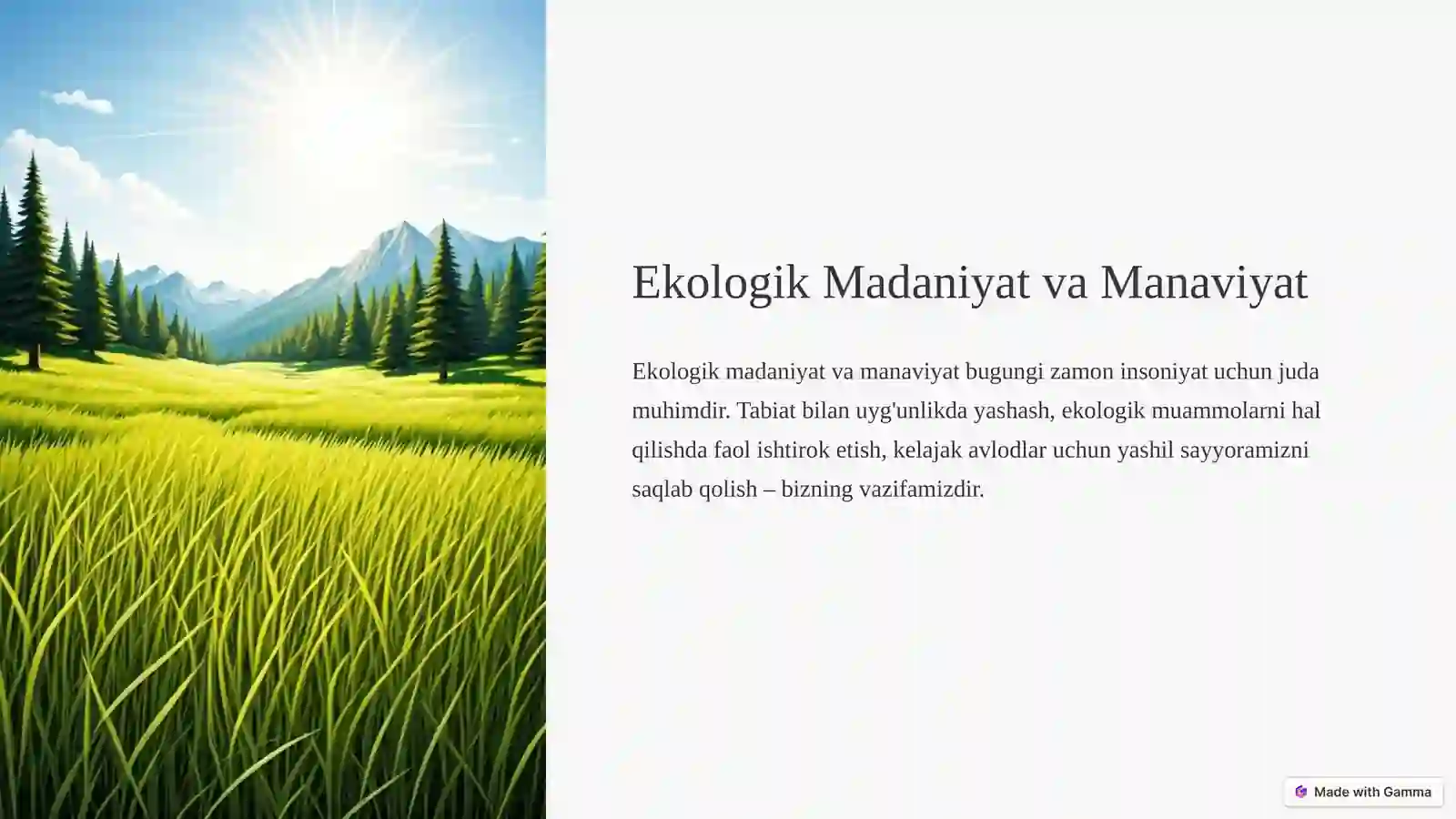 Product slide 2