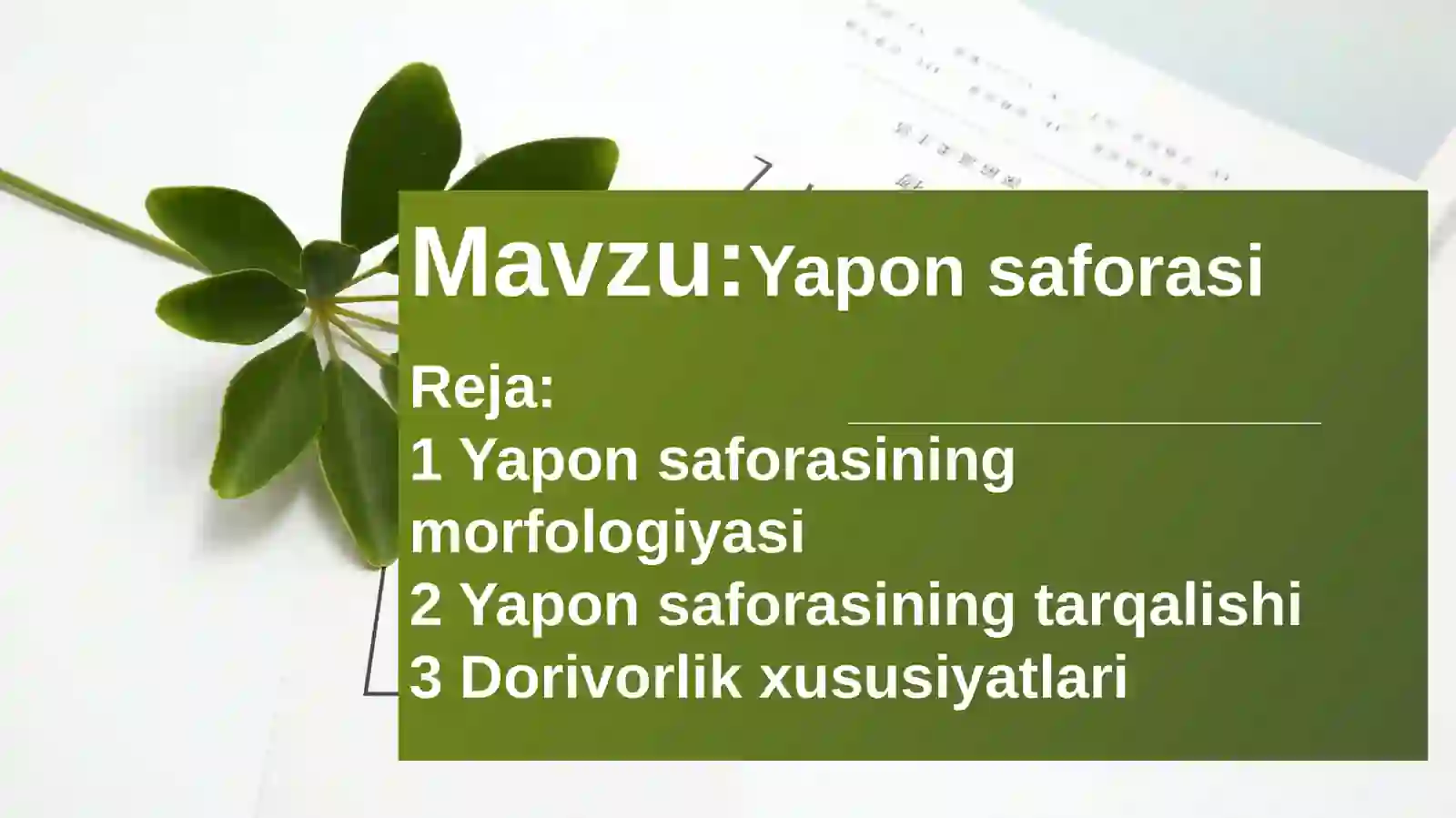 Product slide 2