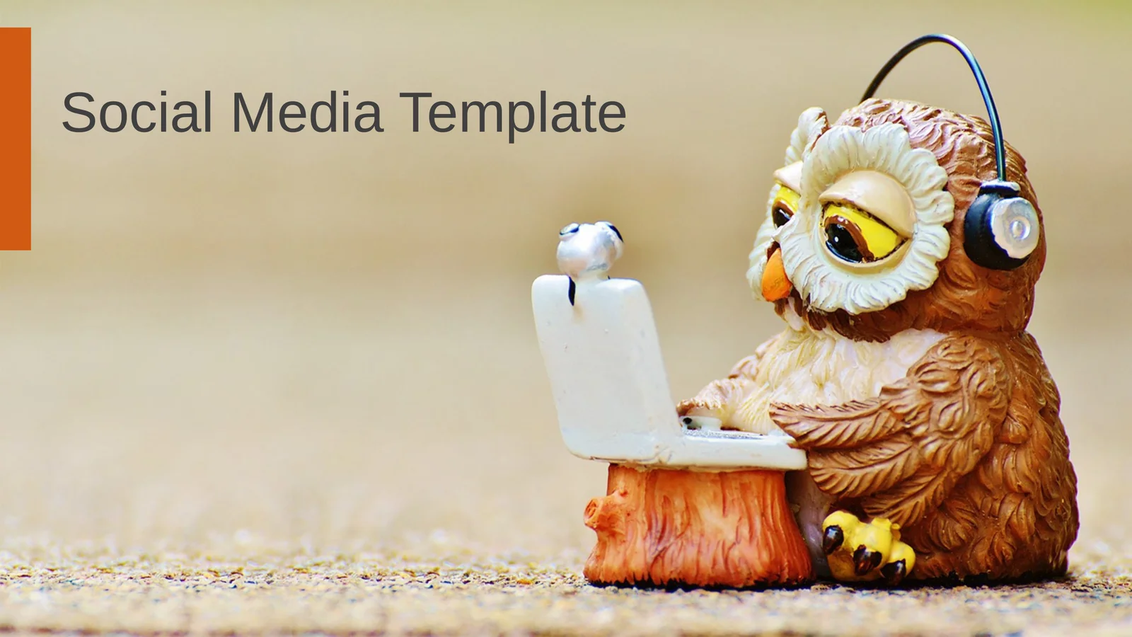 Social Media Template