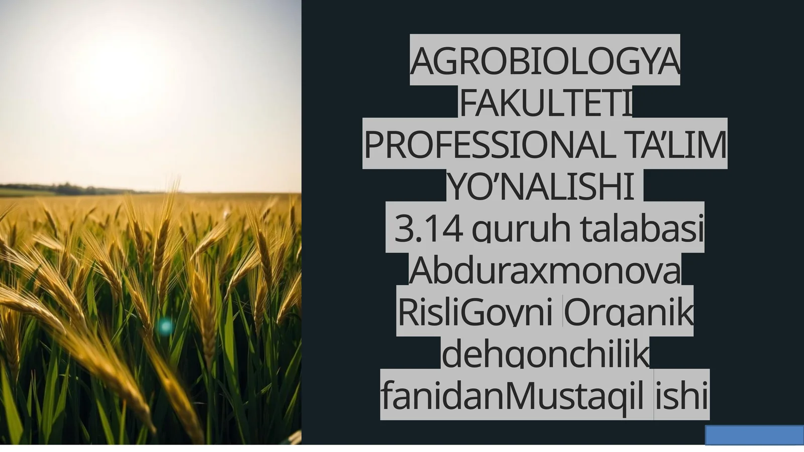 Organik dehqonchilikda  donli ekinlar  yetishtirish