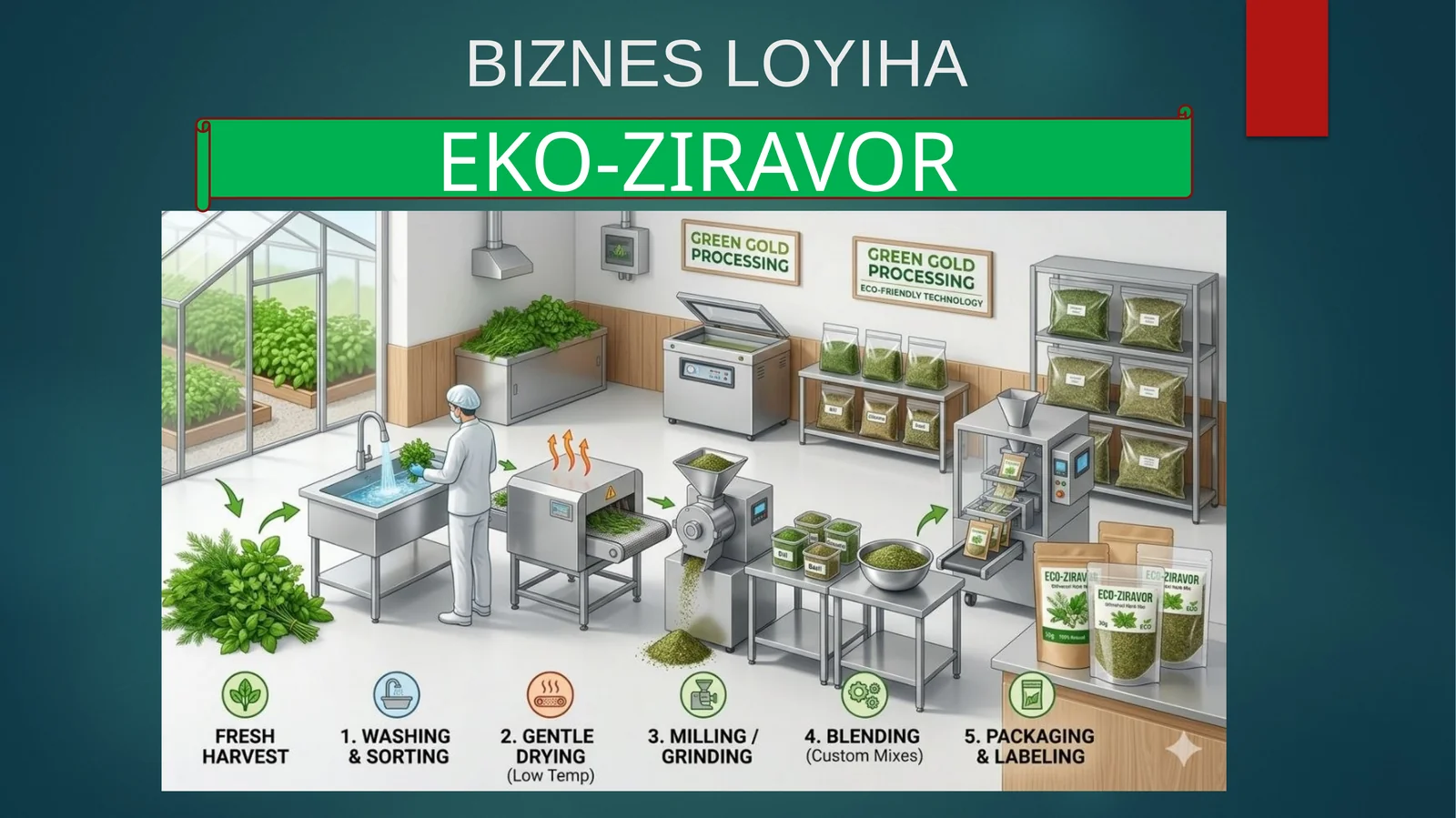 (100 millionlik loyiha ishi)  EKO-ZIRAVOR