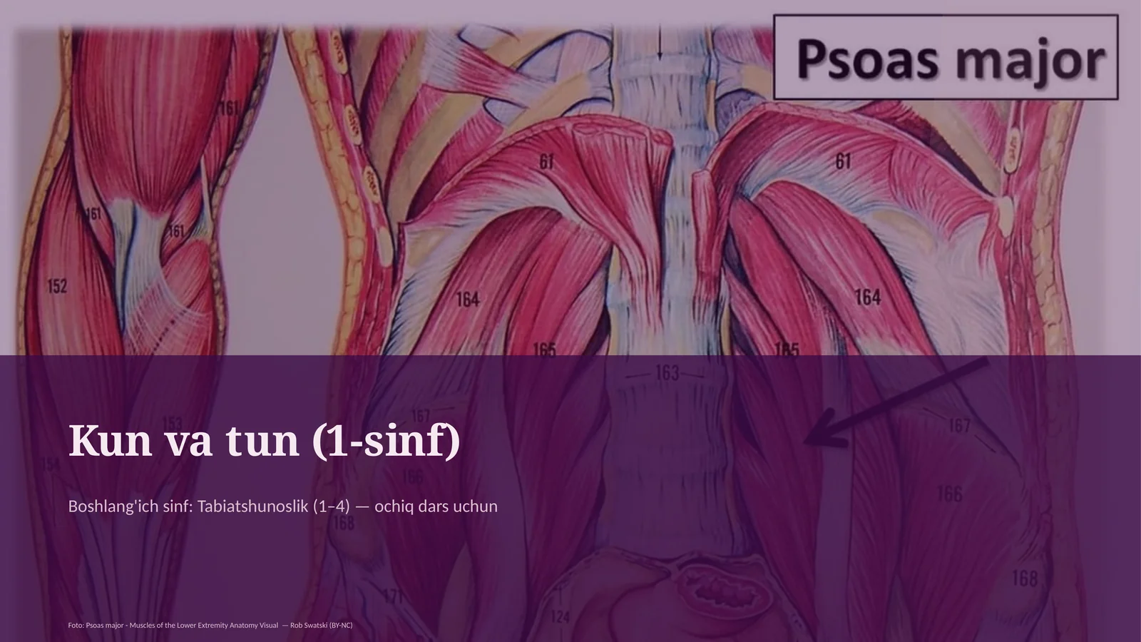 Kun va tun (1-sinf)