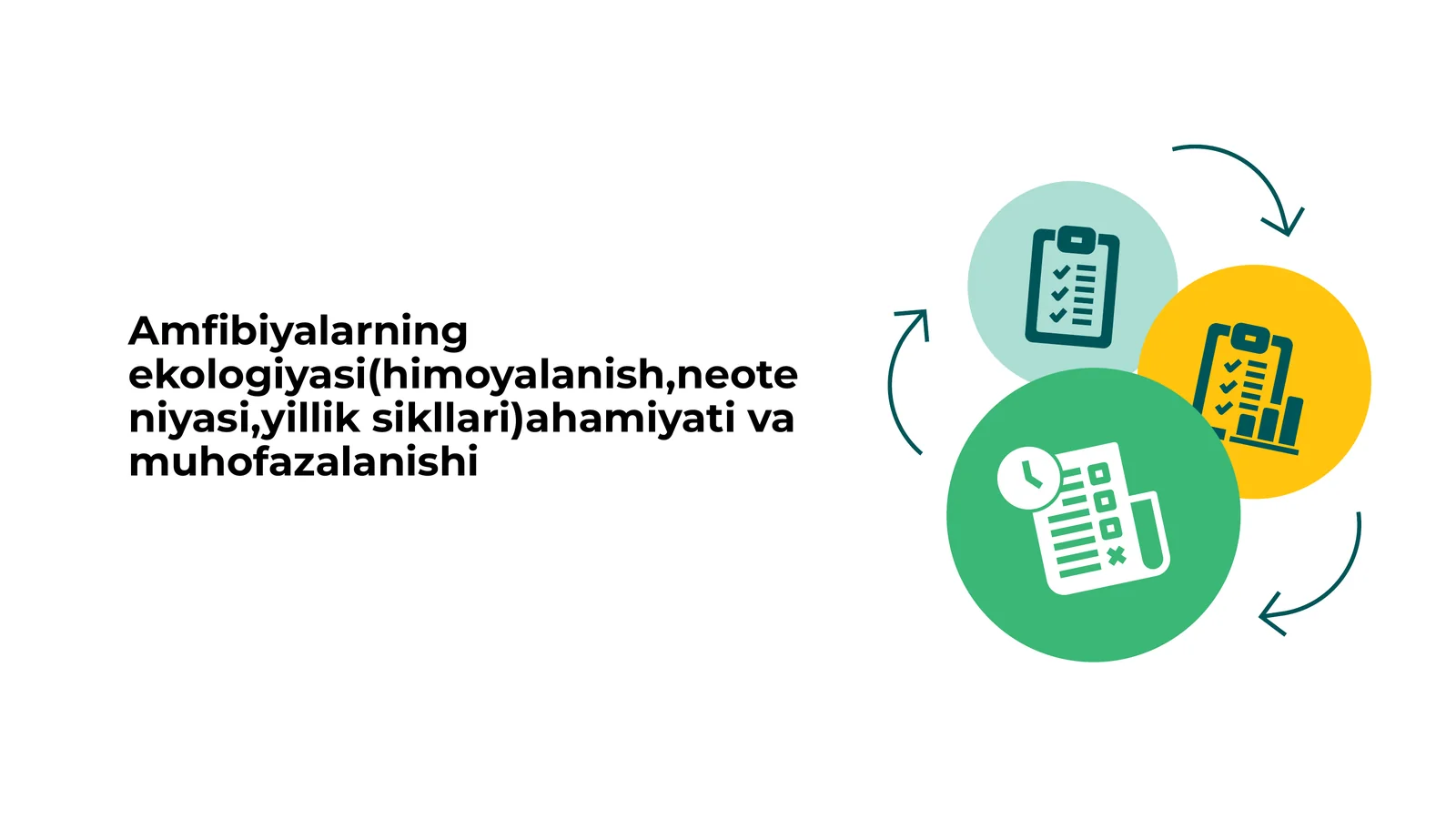 Amfibiyalarning ekologiyasi(himoyalanish,neoteniyasi,yillik sikllari)ahamiyati va muhofazalanishi