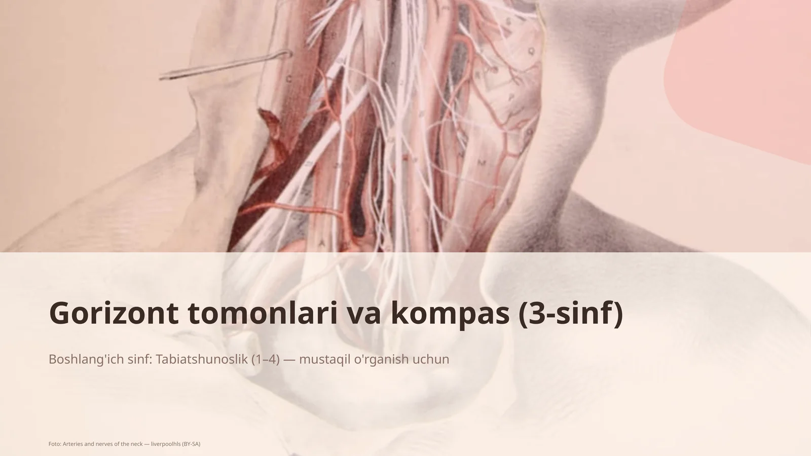Gorizont tomonlari va kompas (3-sinf)