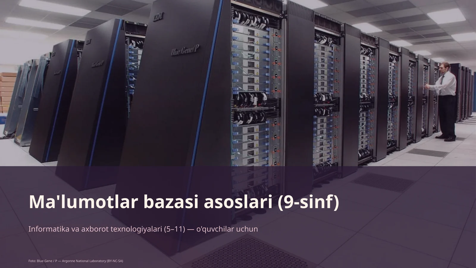 Ma'lumotlar bazasi asoslari (9-sinf)