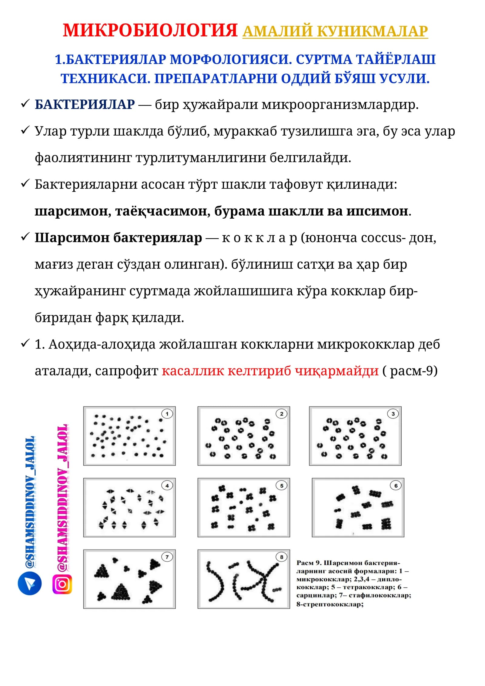 МИКРОБИОЛОГИЯ АМАЛИЙ КУНИКМАЛАР
