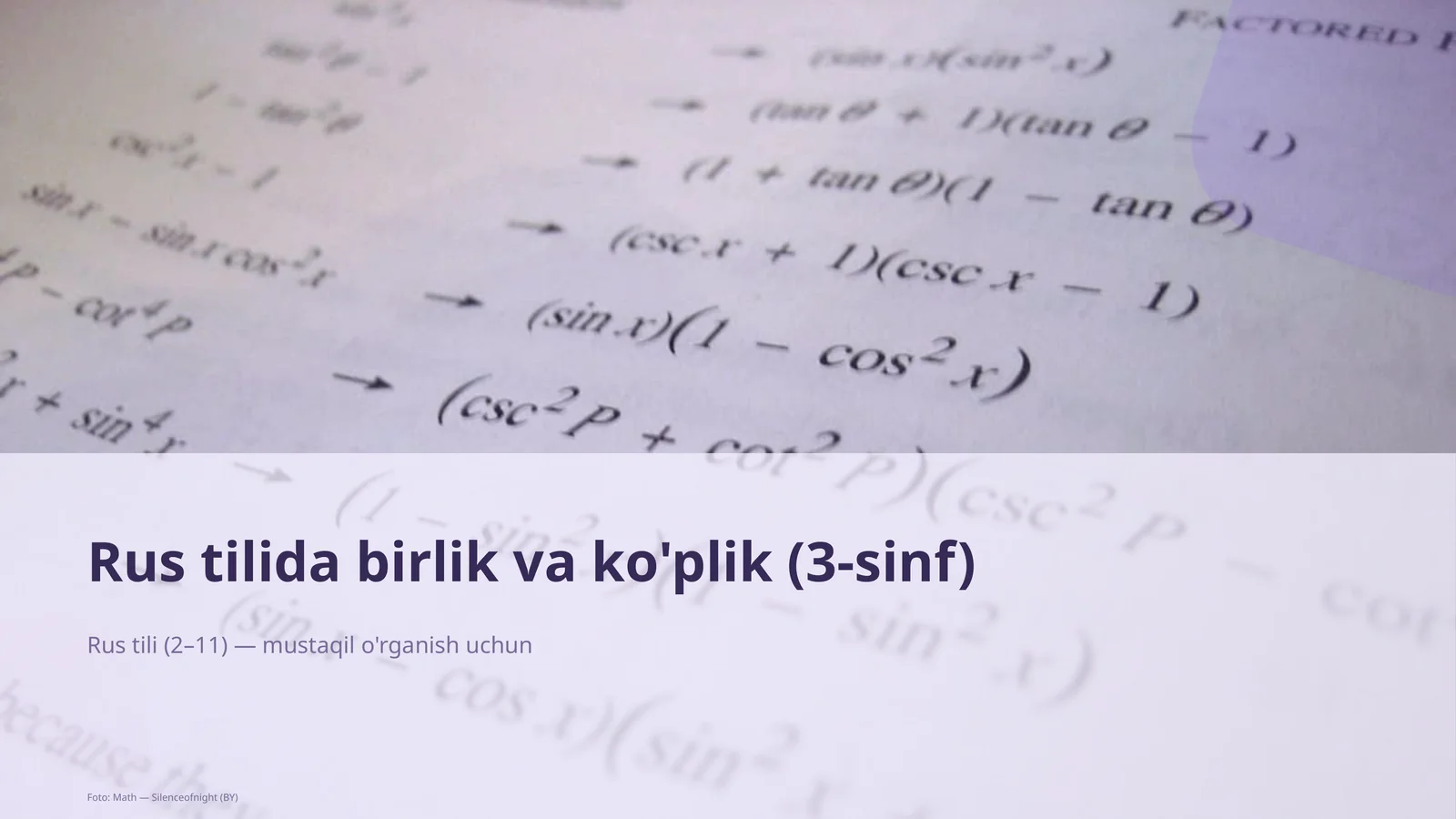 Rus tilida birlik va ko'plik (3-sinf)
