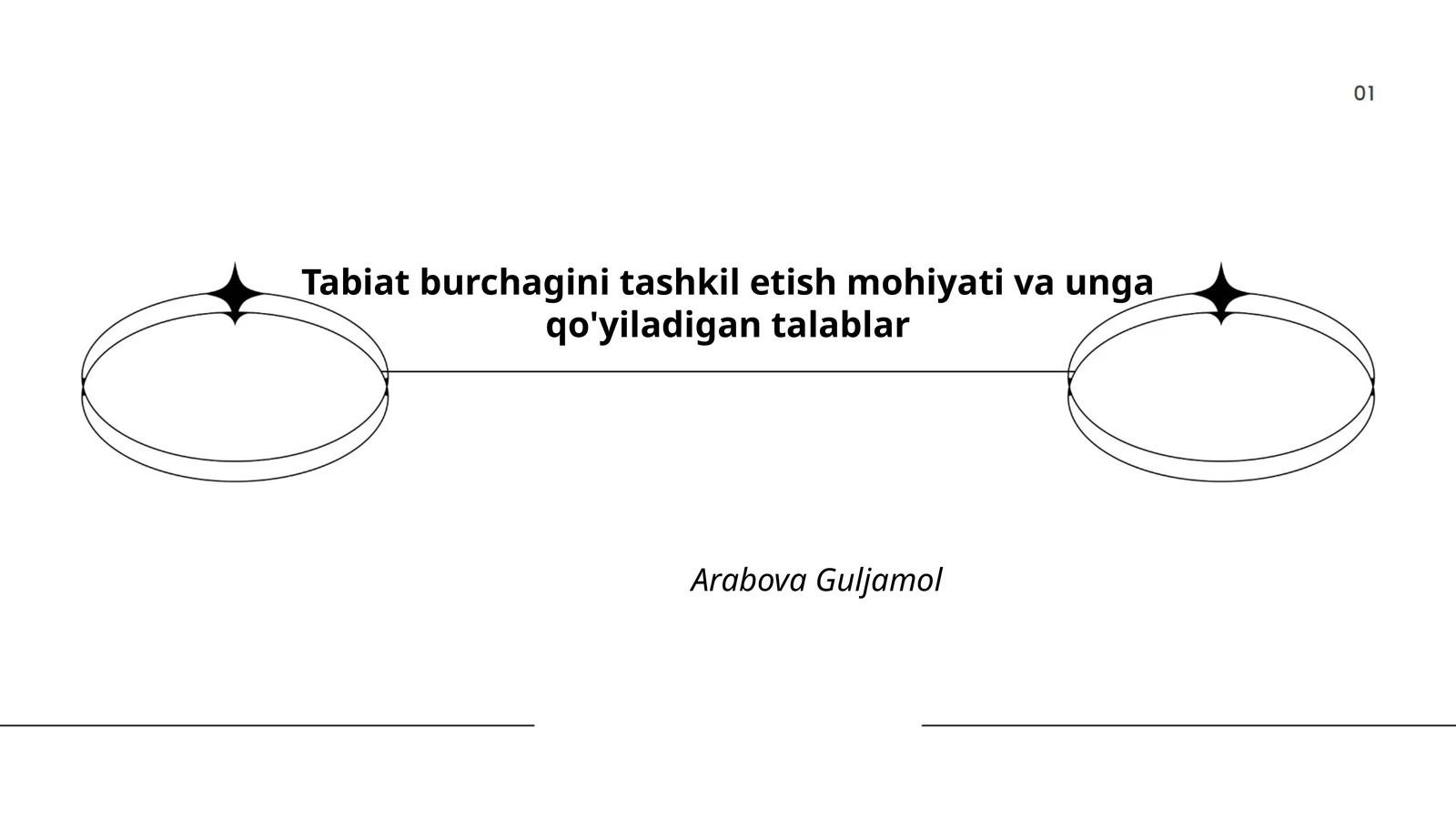 Tabiat burchagini tashkil etish mohiyati va unga qo'yiladigan talablar