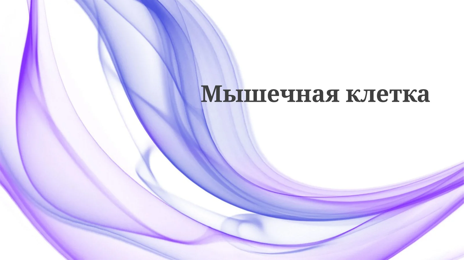 Мышечная клетка