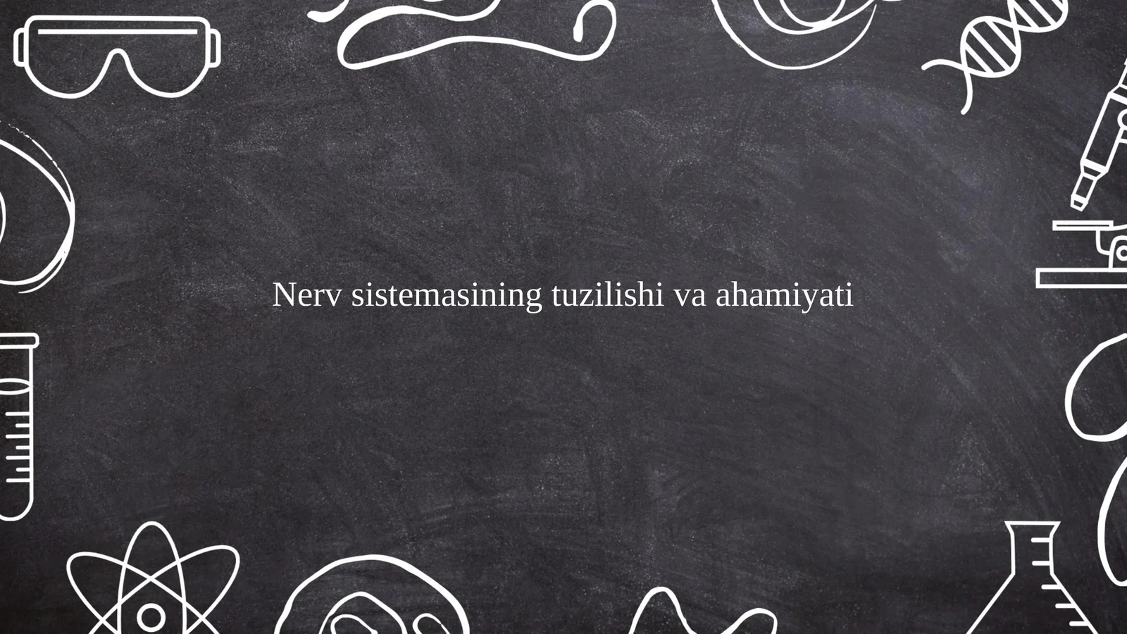 Nerv sistemasining tuzilishi markaziy nerv sestemasi