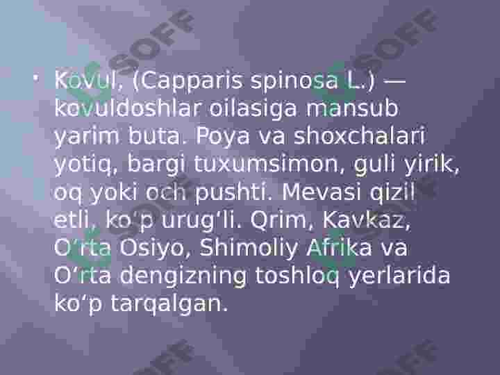 Product slide 7