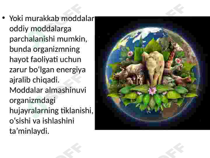 Product slide 8