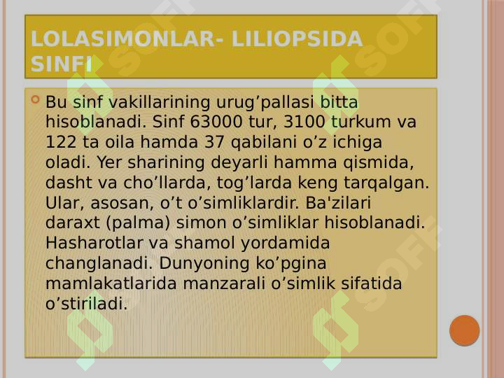 Product slide 5
