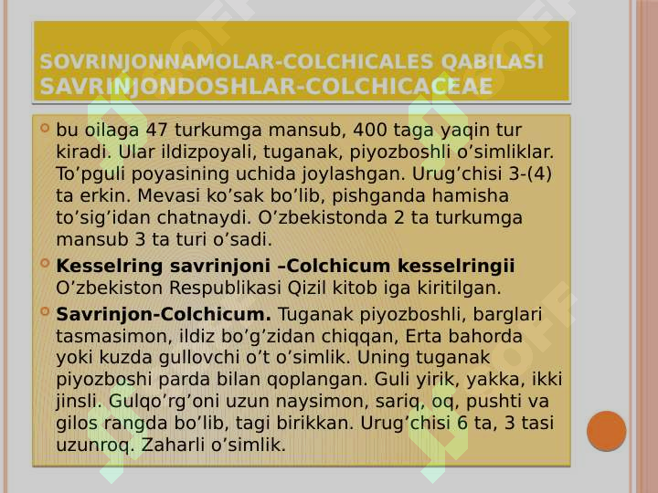 Product slide 6