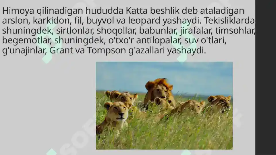 Product slide 6