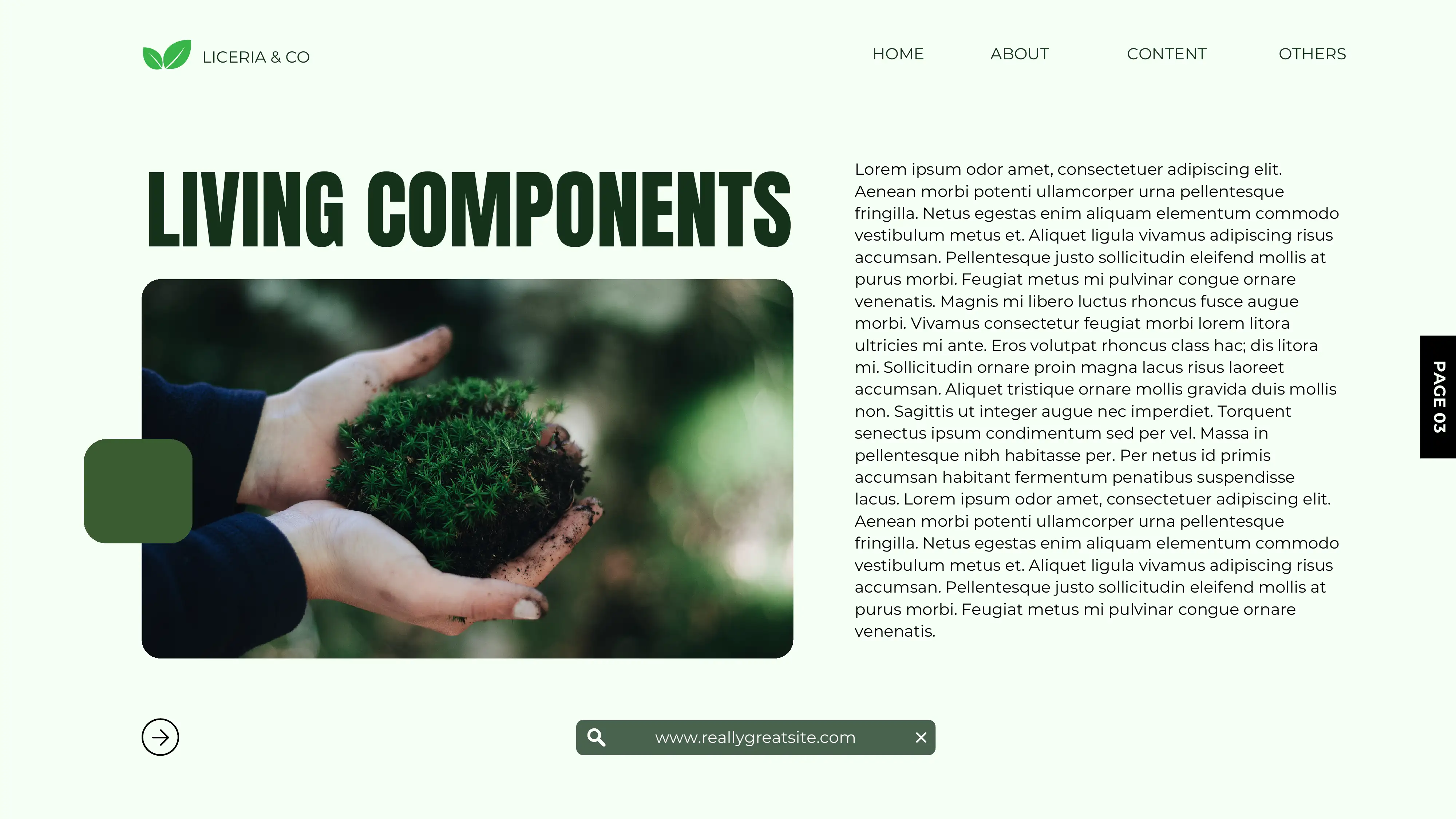 Product slide 3