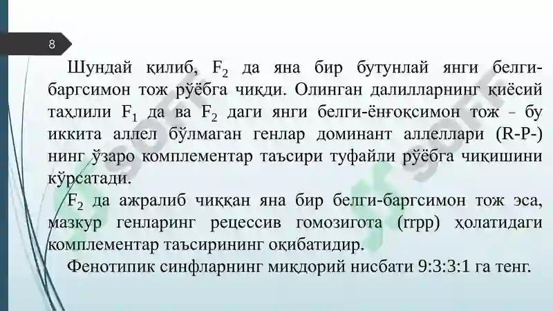 Product slide 8