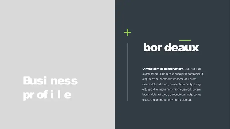 Product slide 2