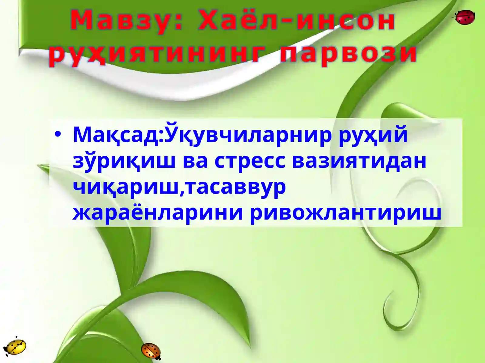 Product slide 2