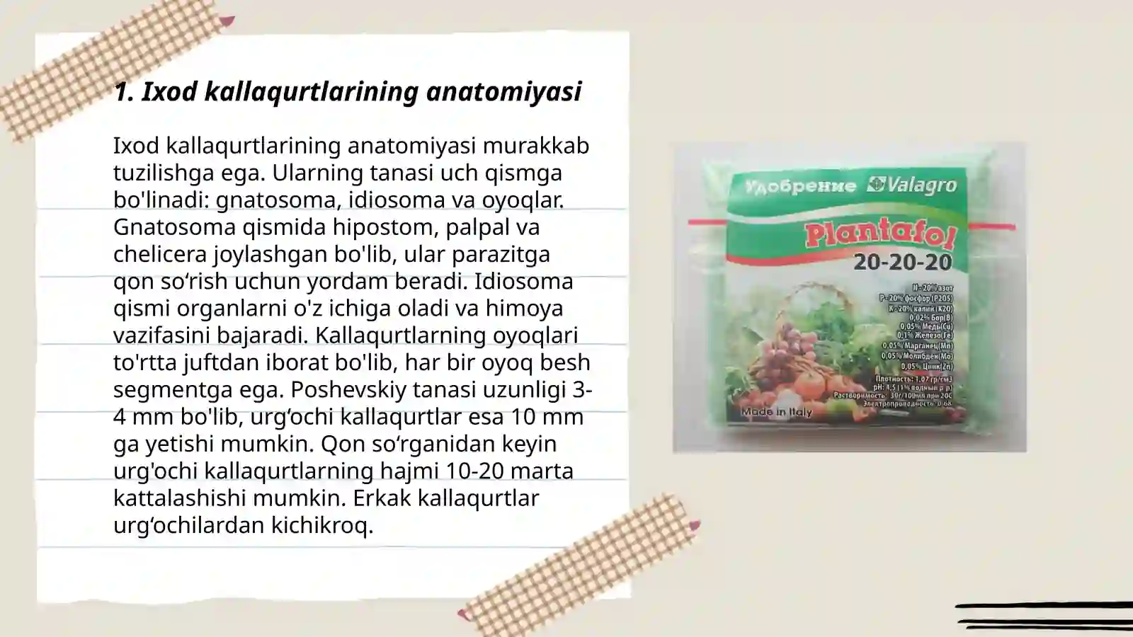 Product slide 3