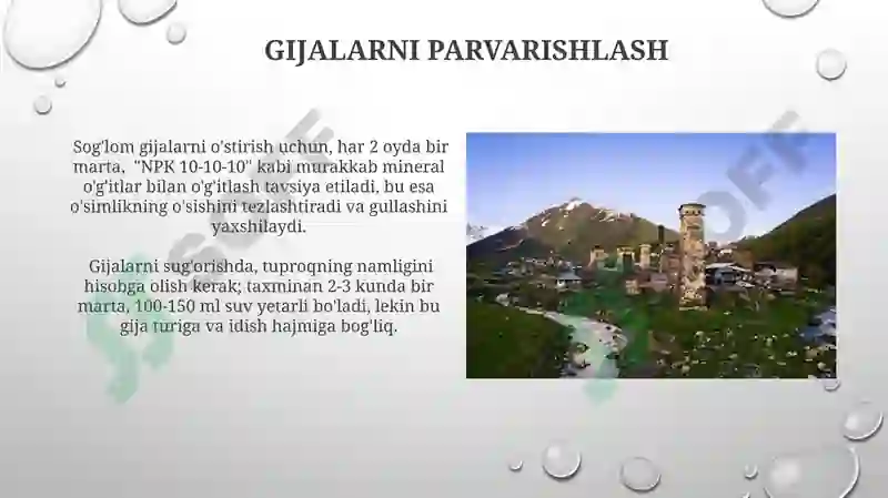 Product slide 6