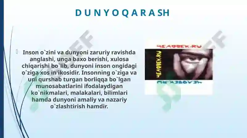 Product slide 8