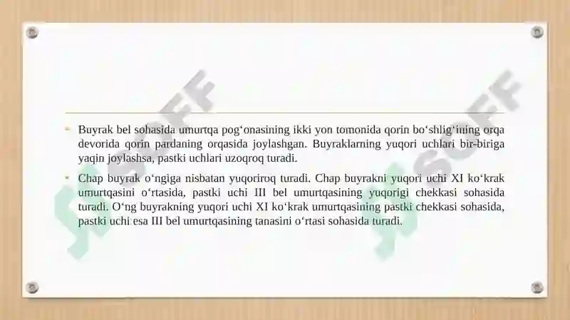 Product slide 8