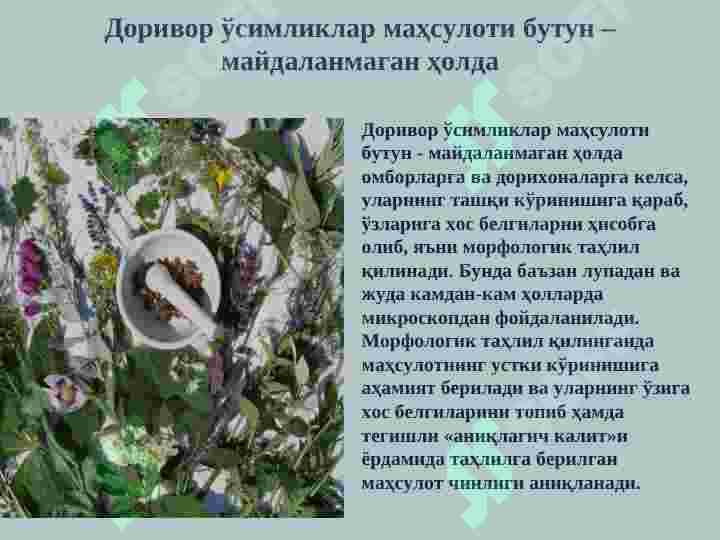 Product slide 5