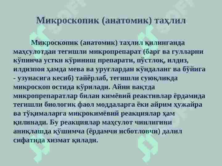 Product slide 7