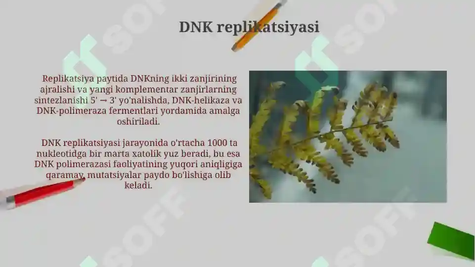 Product slide 5