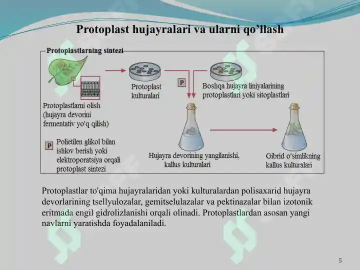 Product slide 5