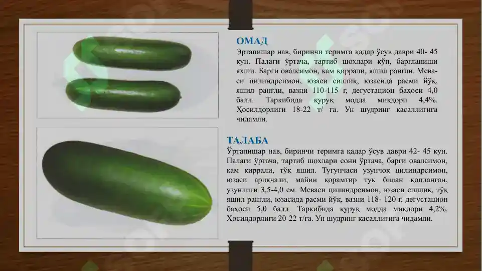 Product slide 7