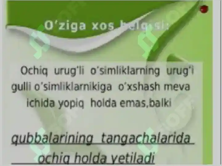 Product slide 8