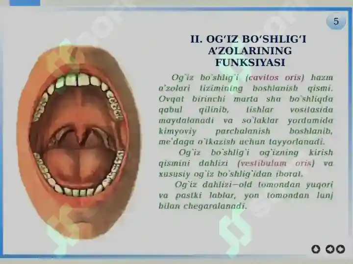 Product slide 5