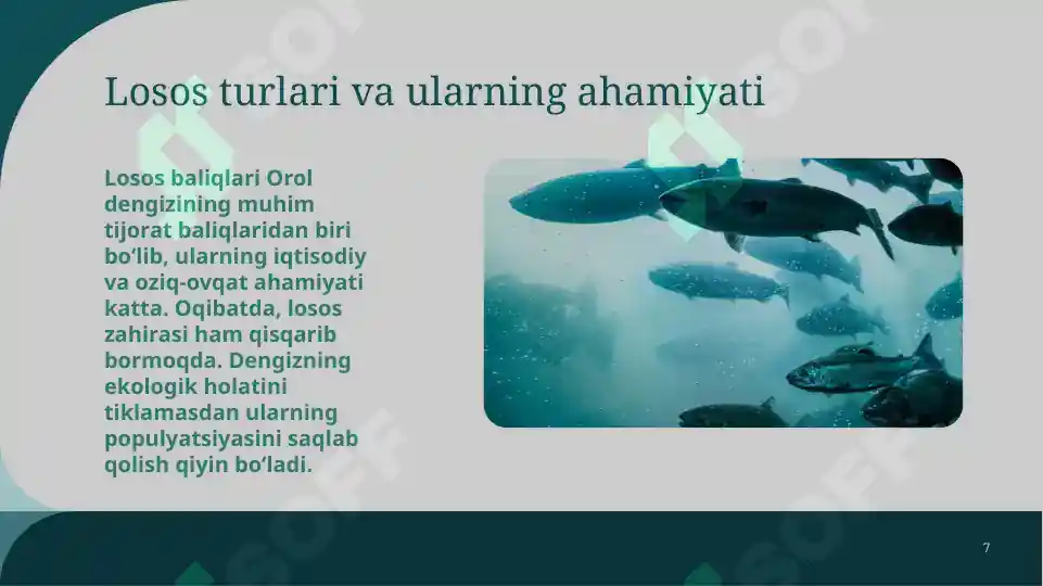 Product slide 7