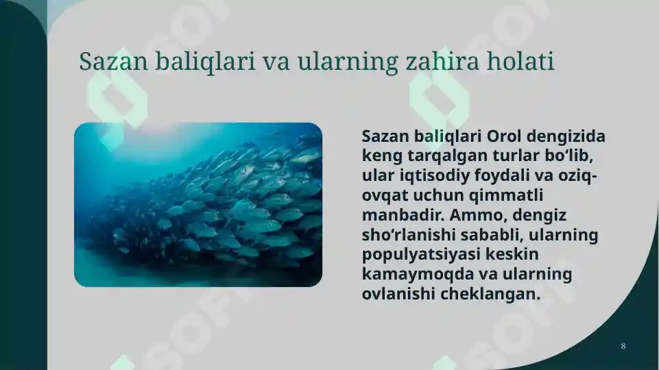 Product slide 8