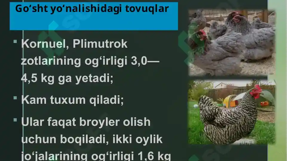 Product slide 8