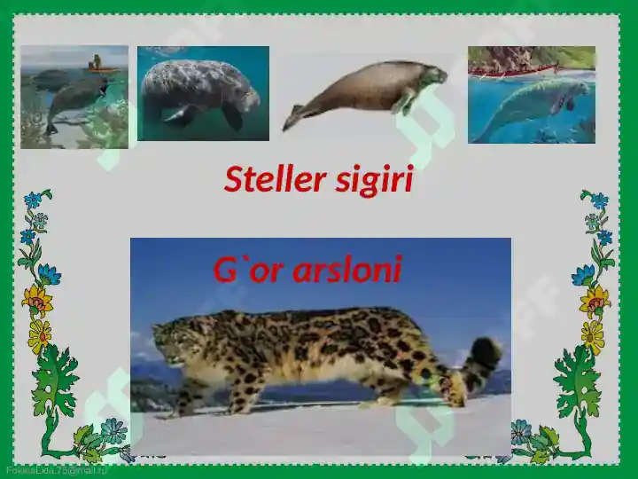 Product slide 6