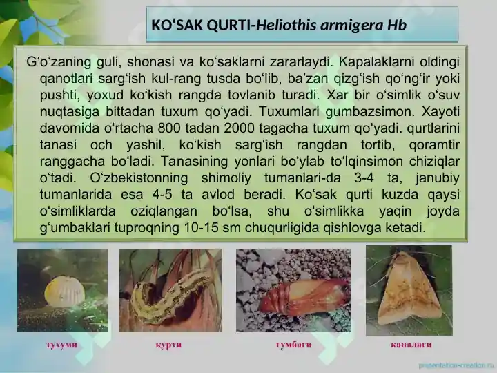 Product slide 8