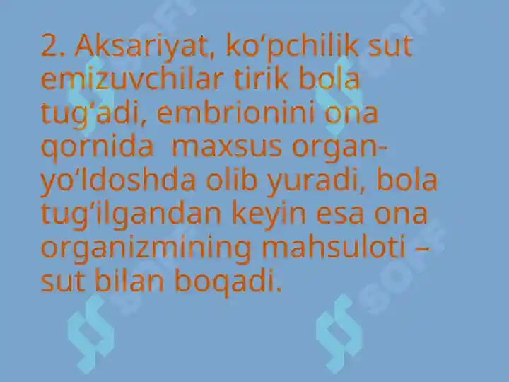 Product slide 5