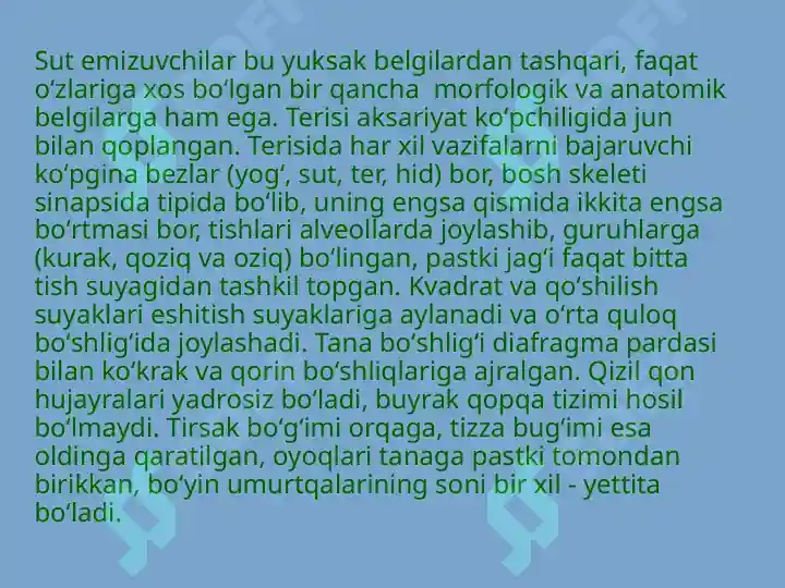 Product slide 7