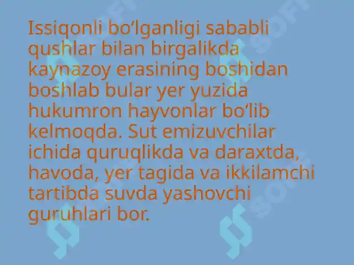 Product slide 8