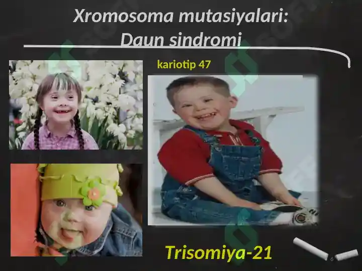 Product slide 6