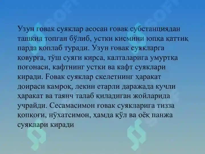 Product slide 8