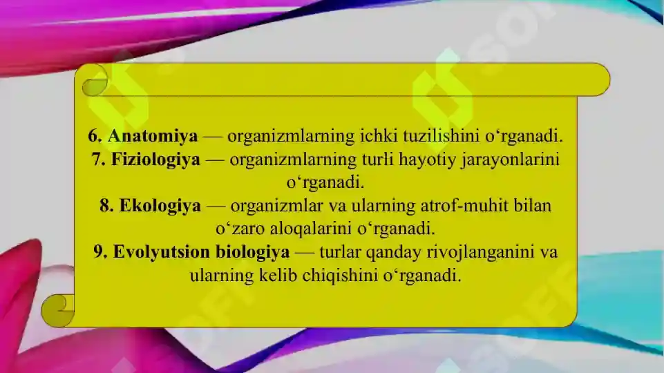 Product slide 5