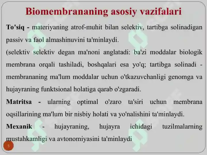 Product slide 5