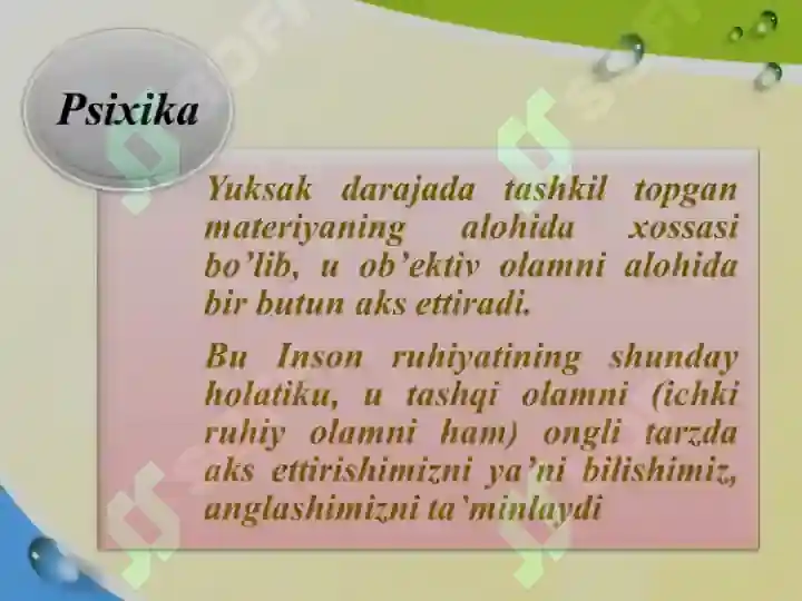 Product slide 7