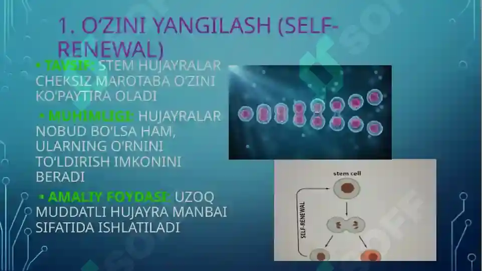 Product slide 6