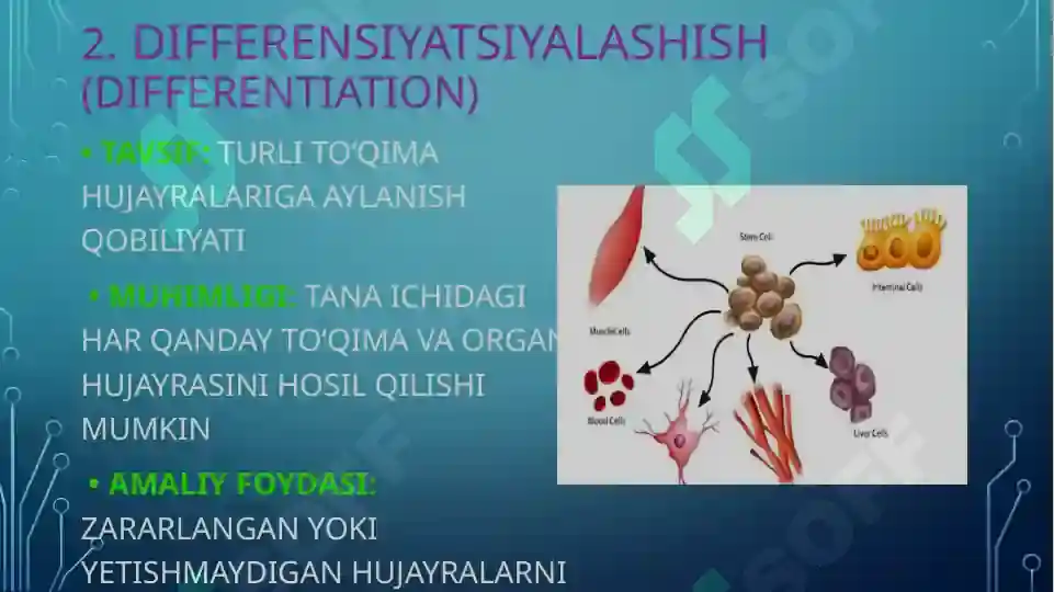 Product slide 7